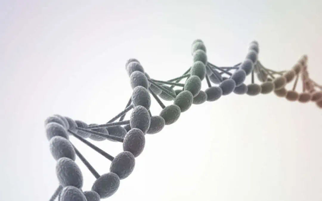 Empathy for our Cells – Somatic Empathy in Action