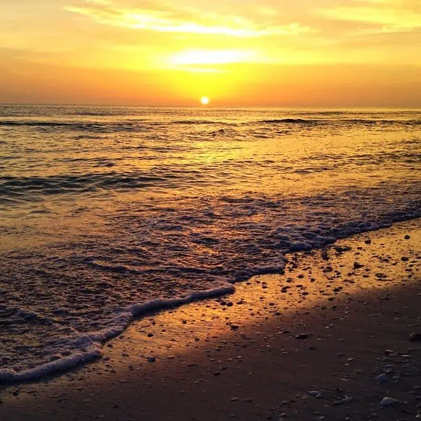 Gratitude: how empathy creates movement