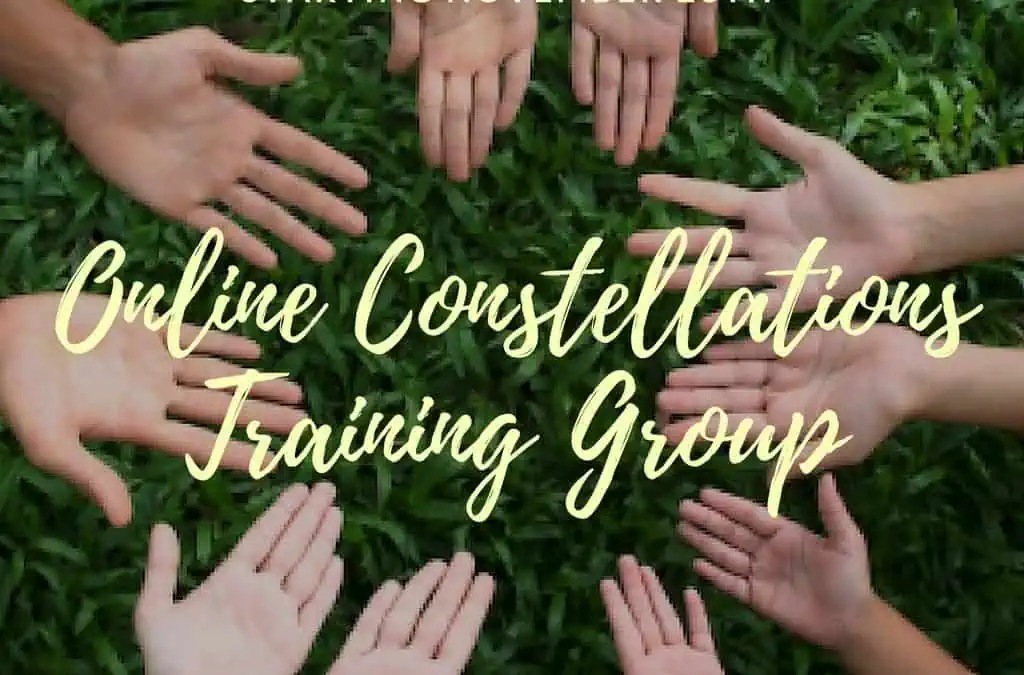 ON-LINE CONSTELLATION TRAINING GROUP