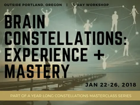 Brain Constellations: Experience and Mastery: A Constellations Masterclass