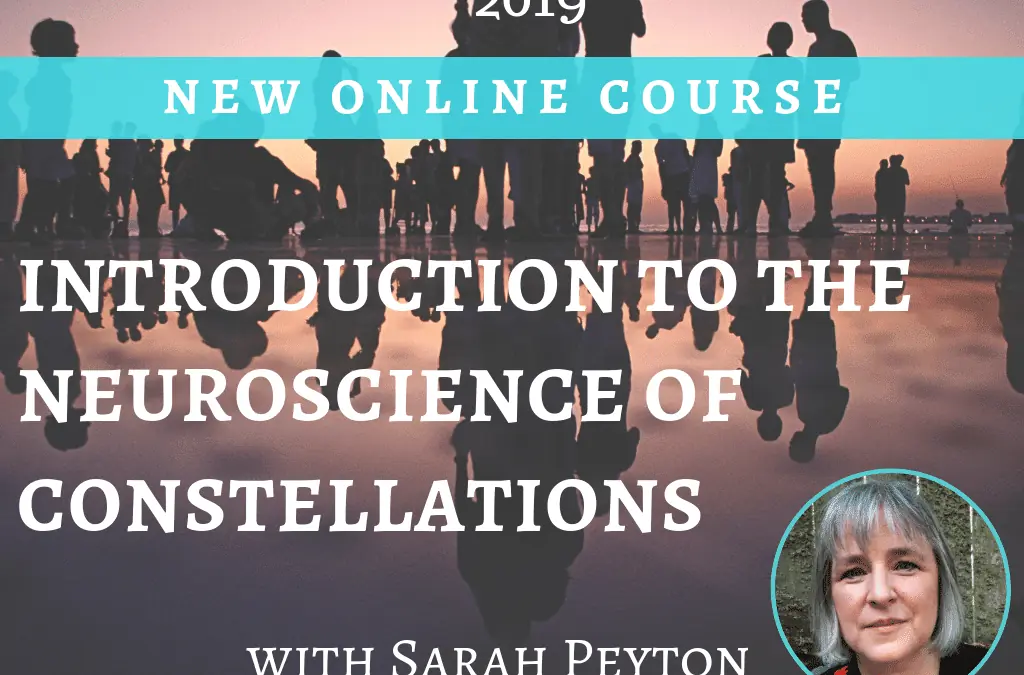Introduction to the Neuroscience of Constellations