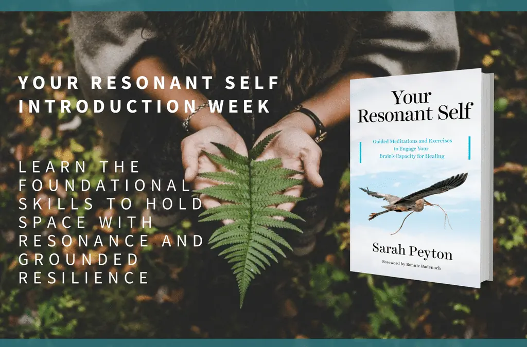 YRS Trainer Dec 2018 Retreat Week 1