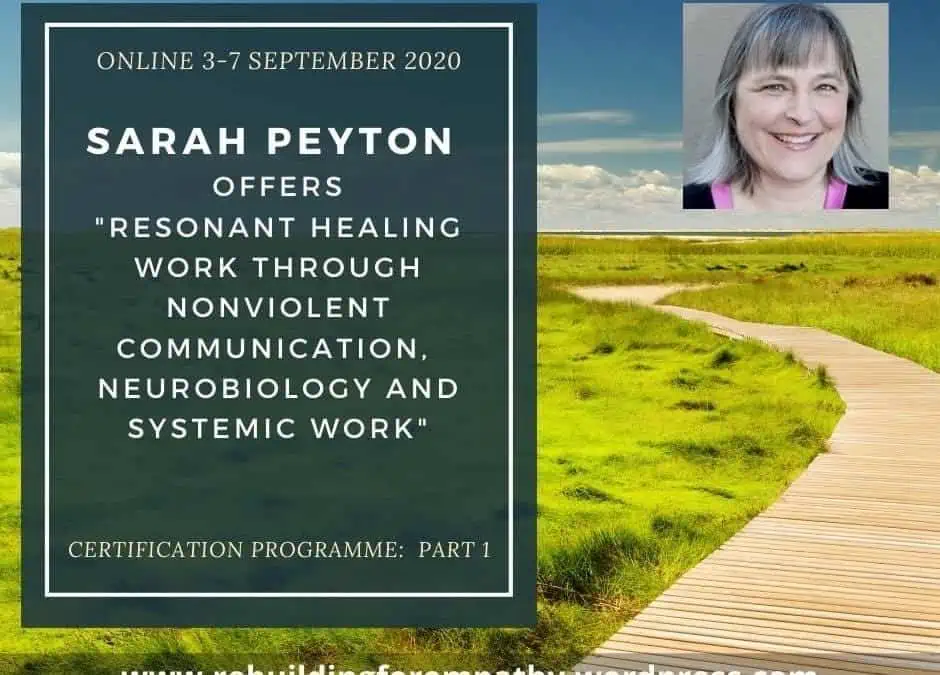 Certification Programme – Practitioner of Resonant Healing – Module 1
