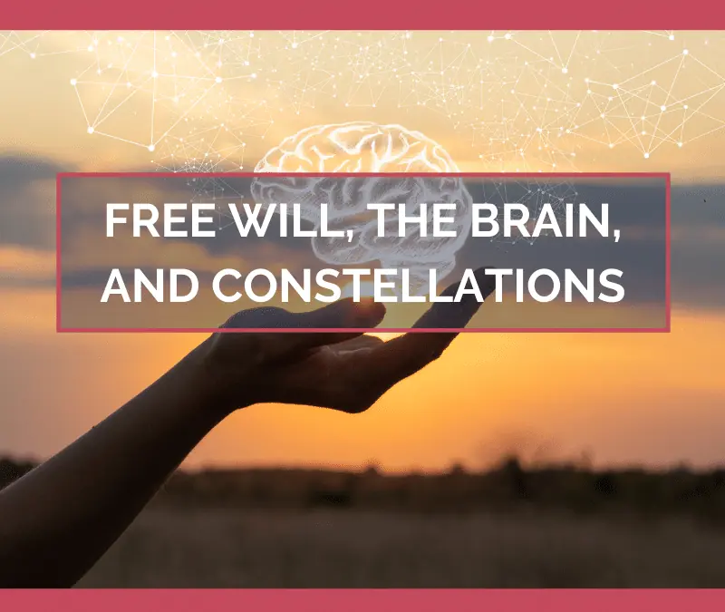 Free Will, the Brain, and Constellations