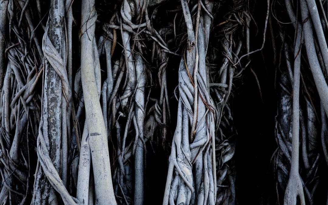 What the heck is Relational Neuroscience?