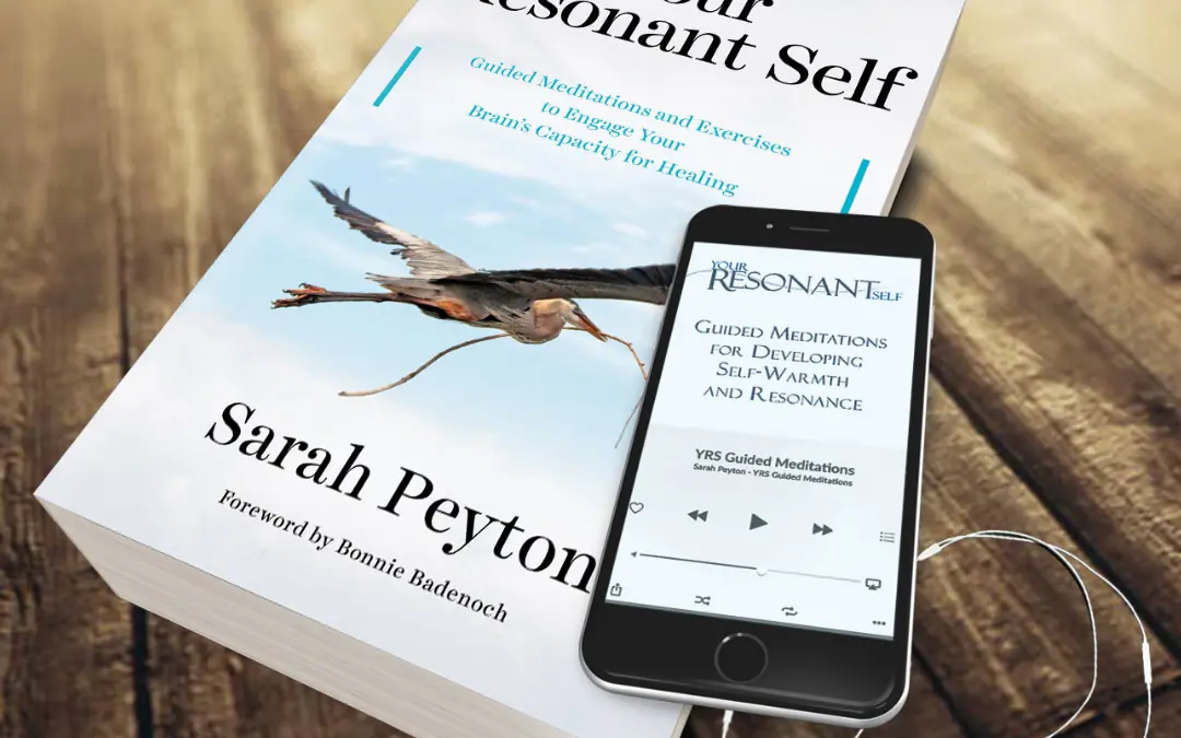 Your Brain & Your Contracts: a 16-week Your Resonant Self Book Study Series