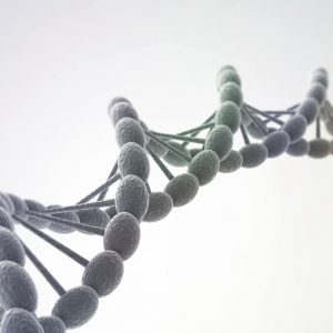 Empathy for our Cells – Somatic Empathy in Action
