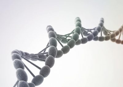Empathy for our Cells – Somatic Empathy in Action