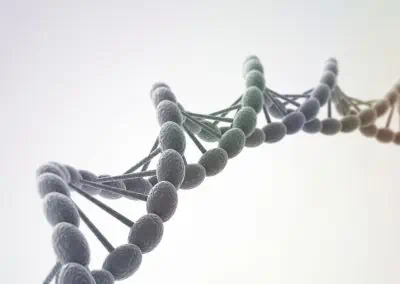 Empathy for our Cells – Somatic Empathy in Action