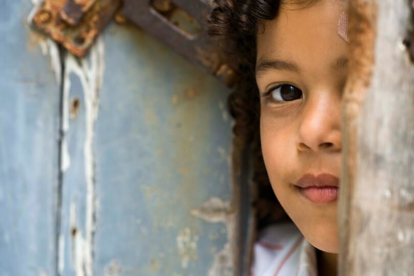 Bringing the Body to Life - Opening the Door to your Insula