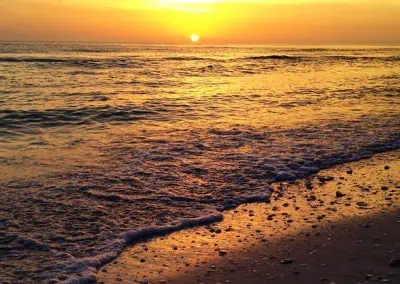Gratitude: how empathy creates movement