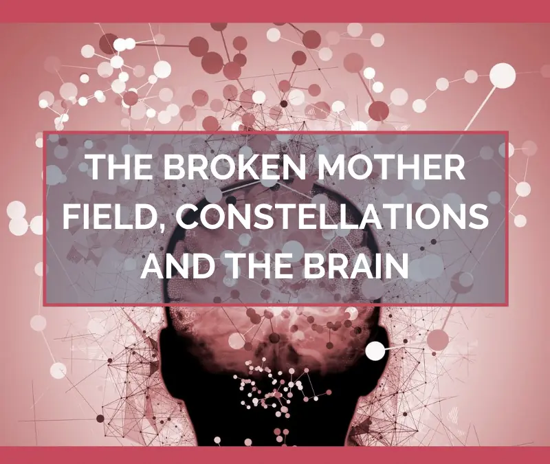 The Broken Mother Field, Constellations and the Brain