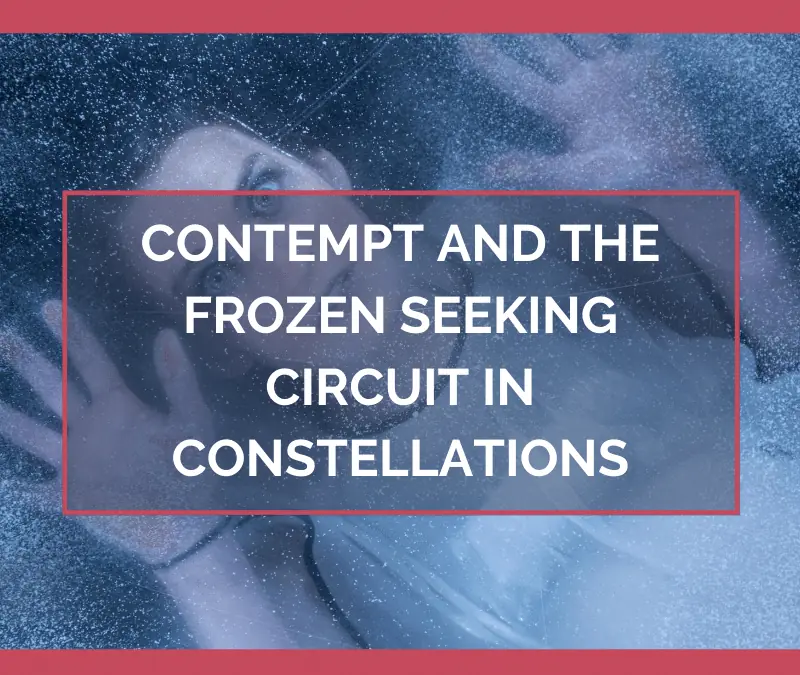 Contempt and the Frozen Seeking Circuit in Constellations