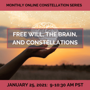 Free Will, the Brain, and Constellations