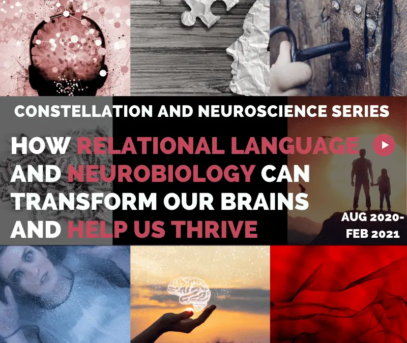 Constellations and Neuroscience: a Monthly Exploration – August 2020- February 2021