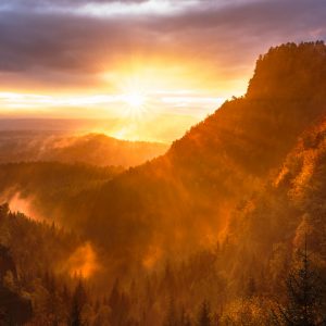Self-Care for the Brain: Glial Cells, Memory and Empathy