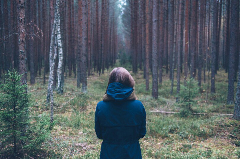 Disorganized Attachment: Understanding and Healing with Empathy