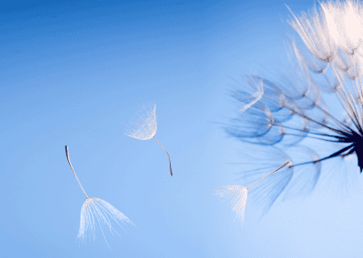 Understanding Systemic and Collective Trauma
