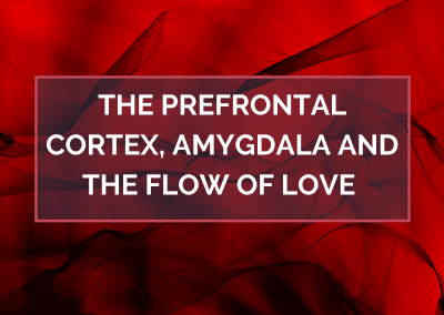 The Prefrontal Cortex, Amygdala and the Flow of Love