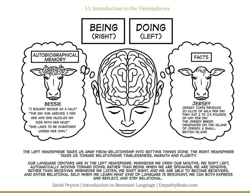 diagram showing the difference between left and right hemispheres