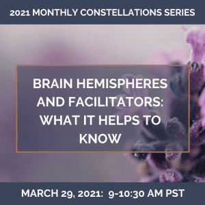 Brain Hemispheres and Facilitators: What It Helps to Know