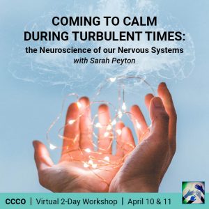 Protected: Coming to Calm in Turbulent Times – hosted by ccco