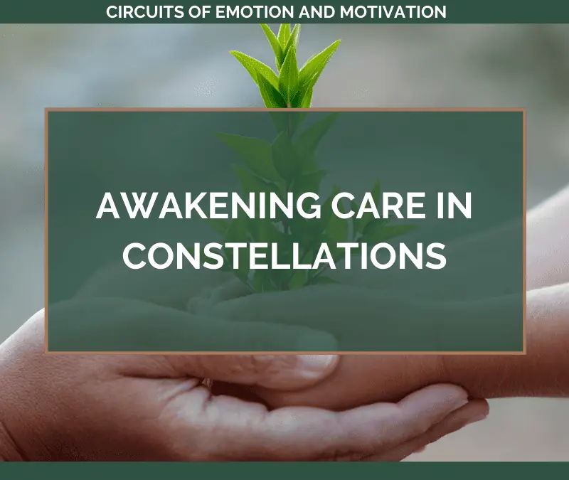 Awakening CARE in Constellations