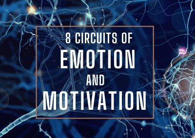 Constellations and Neuroscience: The Circuits of Emotion and Motivation Pre-recorded Series