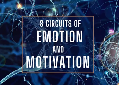 Constellations and Neuroscience: The Circuits of Emotion and Motivation Pre-recorded Series