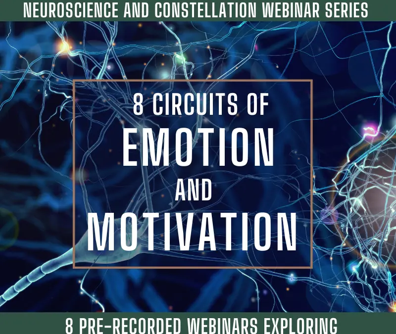 2021-2022 Constellations and Neuroscience: a Monthly Exploration – Circuits of Emotion and Motivation
