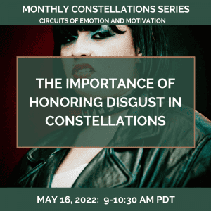 The Importance of Honoring DISGUST in Constellations