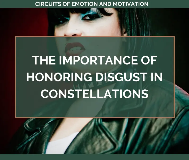 The Importance of Honoring DISGUST in Constellations