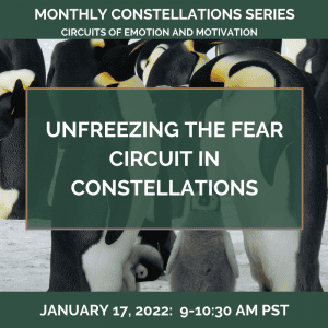 Unfreezing the FEAR Circuit in Constellations