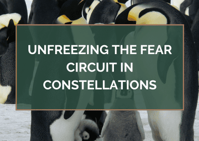 Unfreezing the FEAR Circuit in Constellations