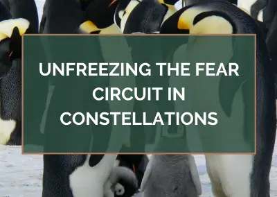 Unfreezing the FEAR Circuit in Constellations