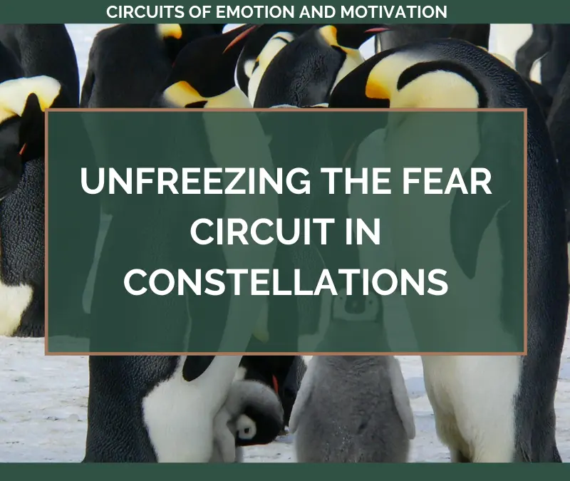 Unfreezing the FEAR Circuit in Constellations