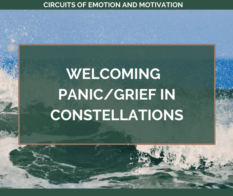 Welcoming PANIC/GRIEF in Constellations