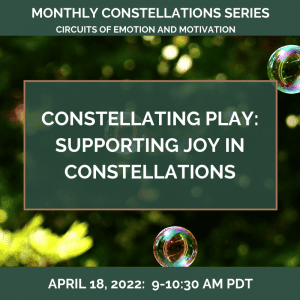 Constellating PLAY: Supporting Joy in Constellations