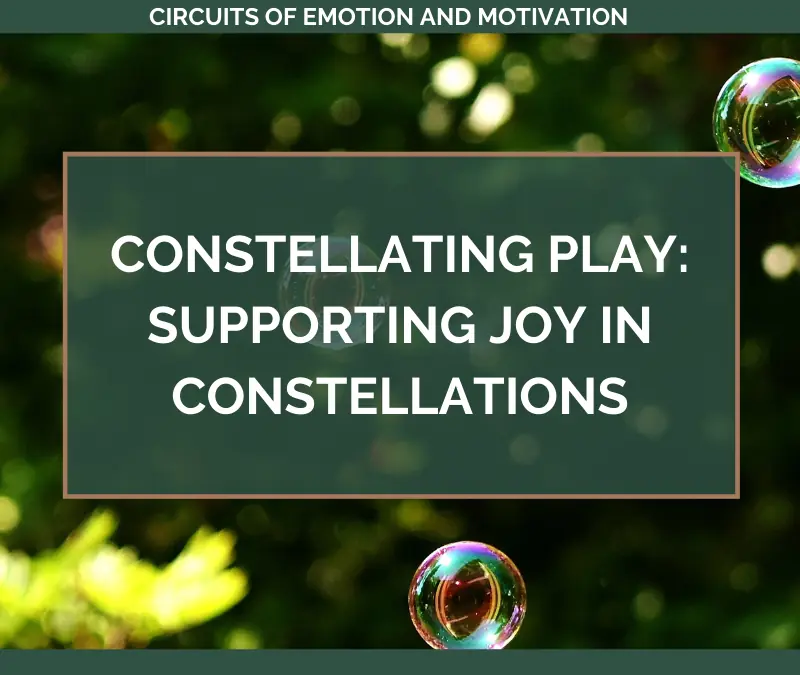 Constellating PLAY: Supporting Joy in Constellations