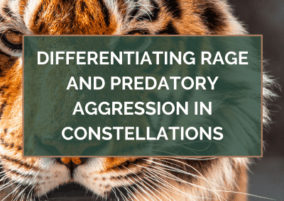Differentiating RAGE and Predatory Aggression in Constellations