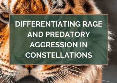 Differentiating RAGE and Predatory Aggression in Constellations