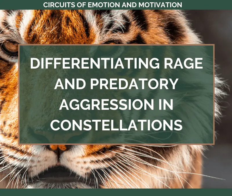 Differentiating RAGE and Predatory Aggression in Constellations