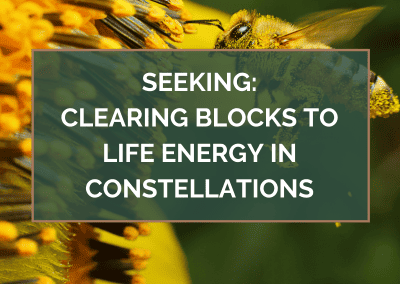 SEEKING: Clearing Blocks to Life Energy in Constellations