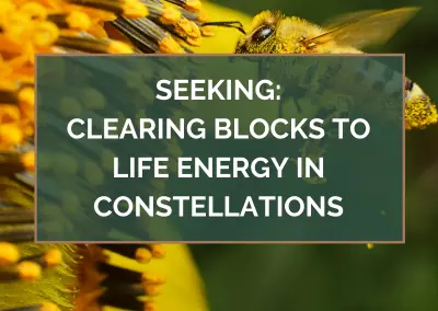 SEEKING: Clearing Blocks to Life Energy in Constellations