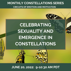 Celebrating SEXUALITY and Emergence in Constellations