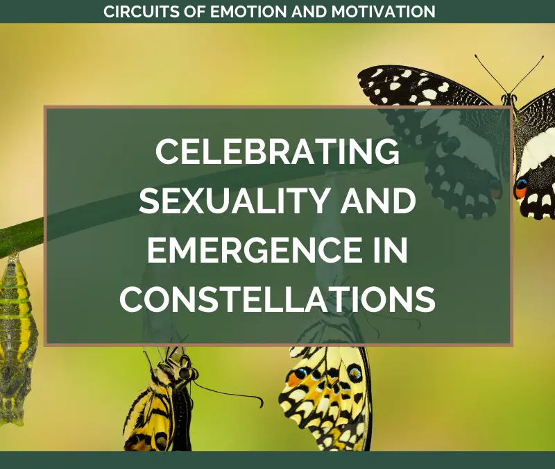 Celebrating SEXUALITY and Emergence in Constellations