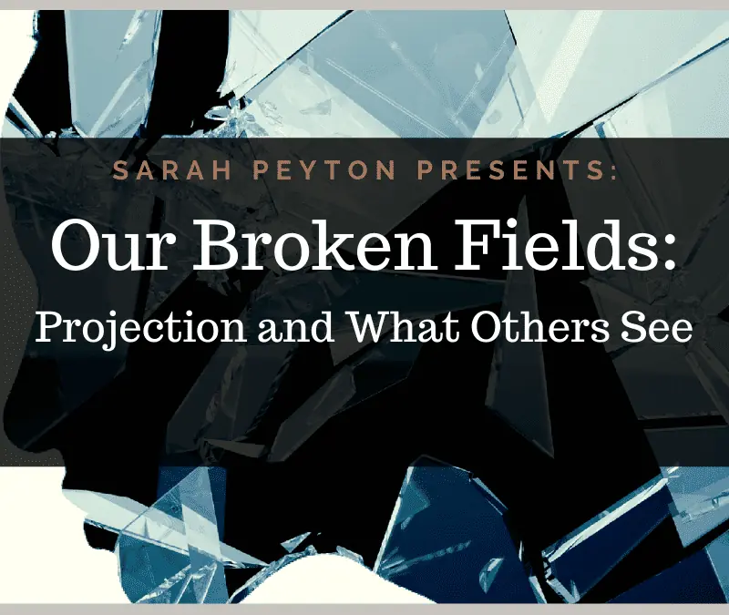 Our Broken Fields: Projection and What Others See