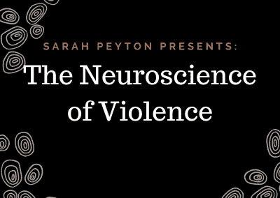 The Neuroscience of Violence