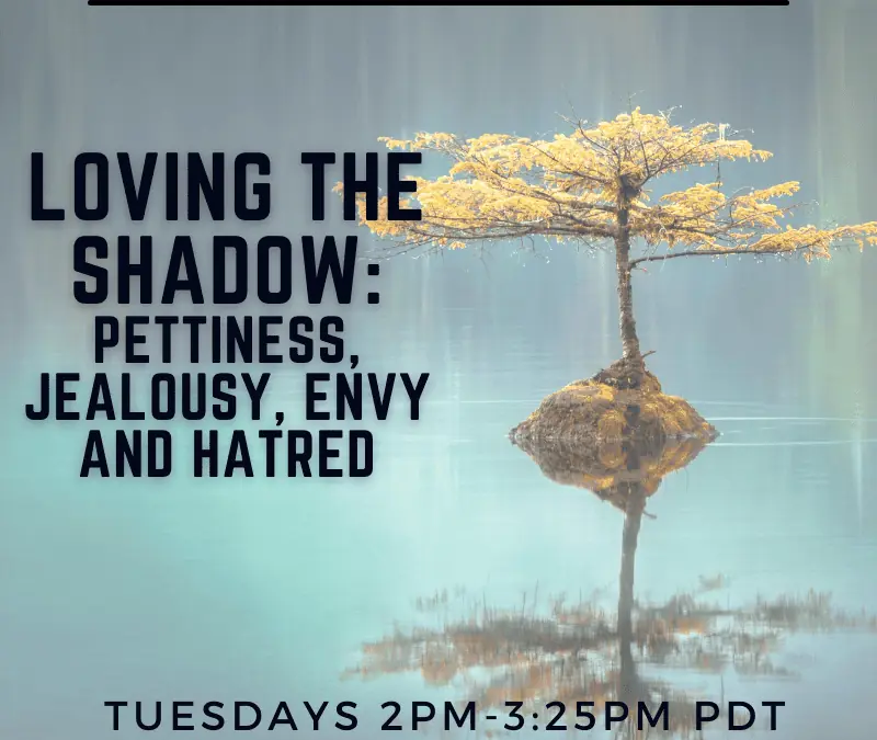 Loving the Shadow: Pettiness, Jealousy, Envy and Hatred