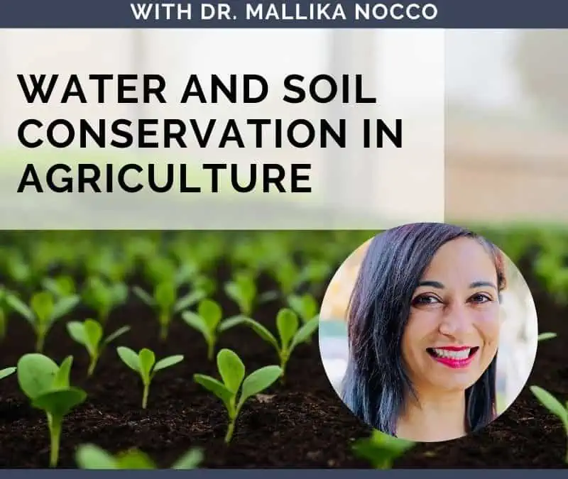 Water and Soil Conservation in Agriculture With Dr. Mallika Nocco